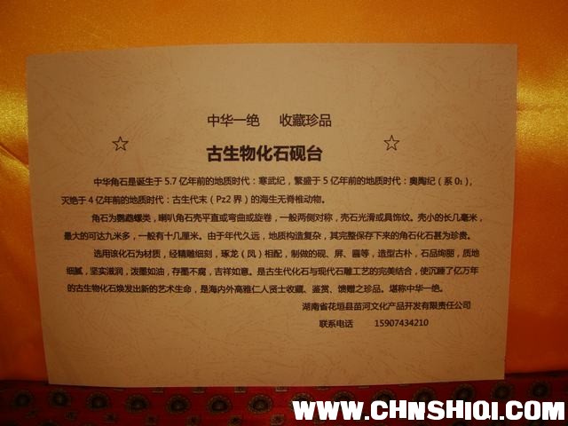 DSC01804.JPG