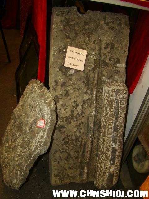 DSC01811.JPG