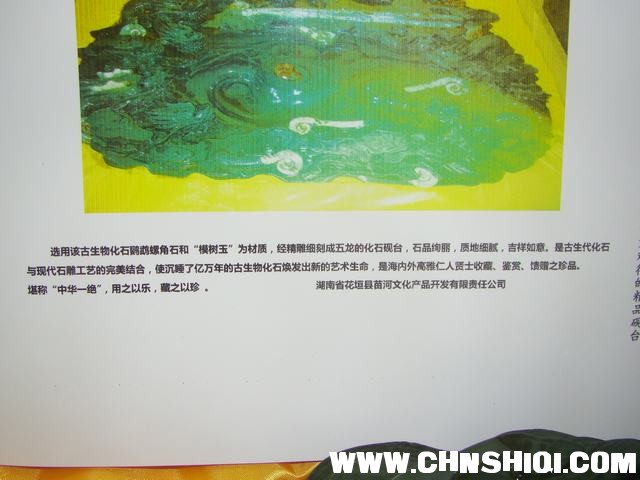 DSC01840.JPG