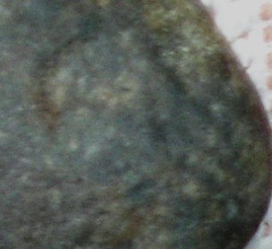 DSCN3820.JPG