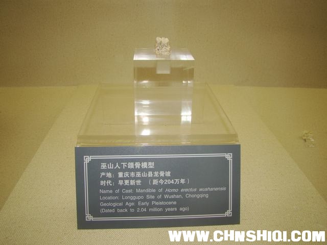 DSC04224.JPG