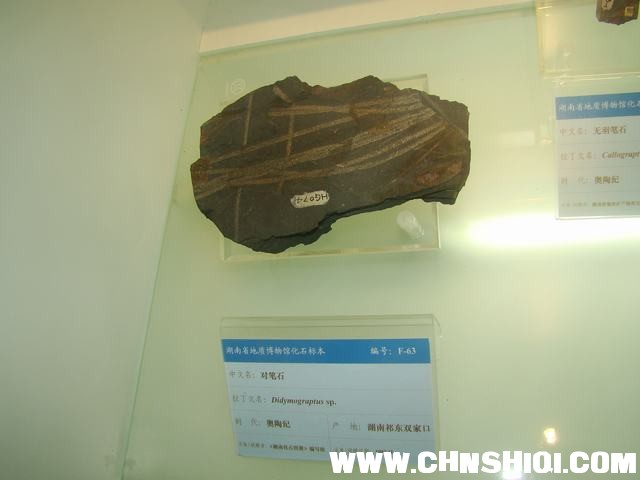 DSC03417.JPG