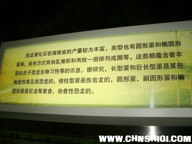 DSC03510.JPG
