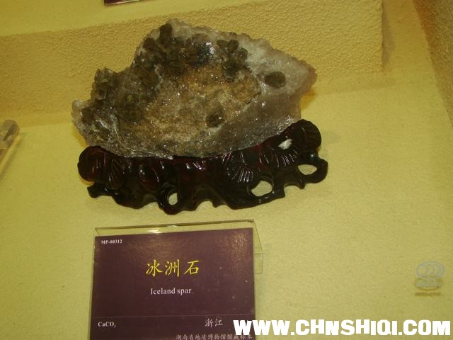 DSC03739.JPG