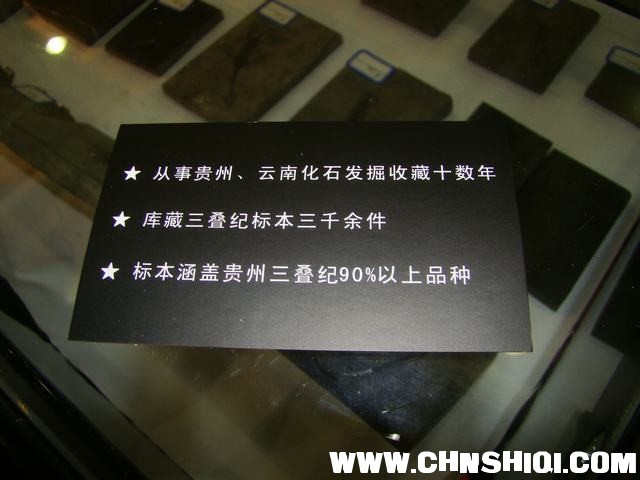 zDSC02118.JPG