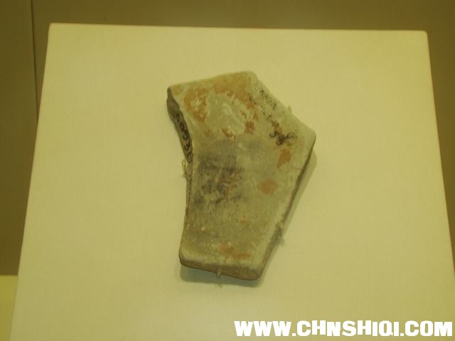 DSC04775.JPG