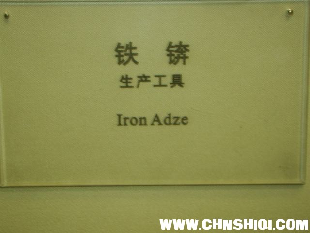 DSC04869.JPG