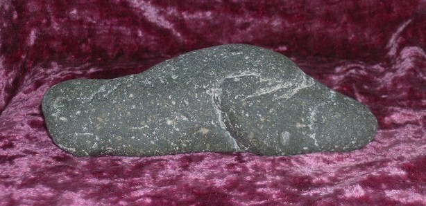 DSCN7100.JPG