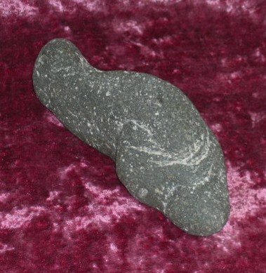 DSCN7110.JPG