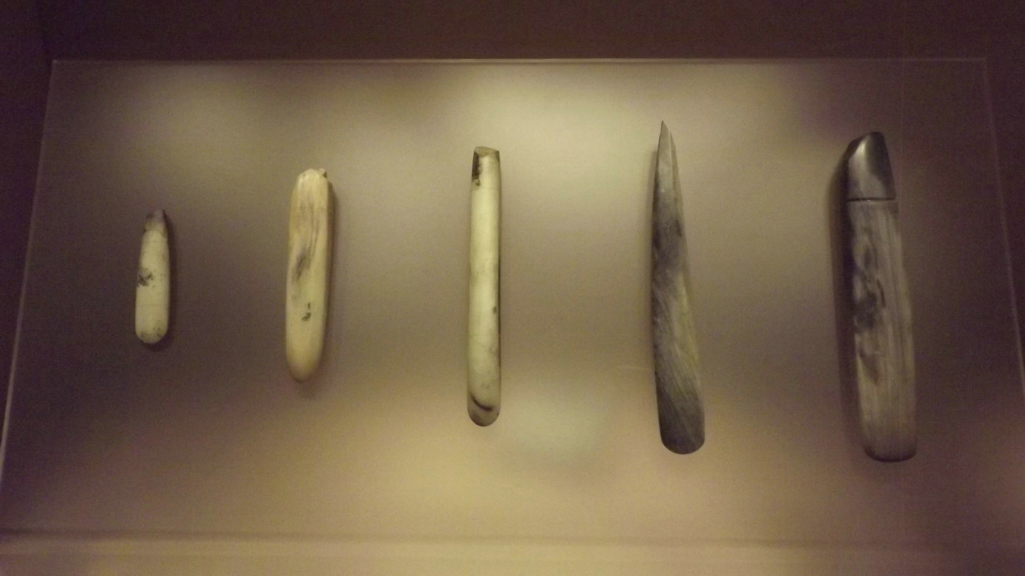 照片 096.jpg