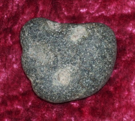 DSCN7431.JPG