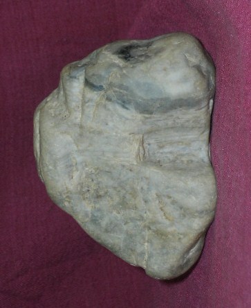 DSCN7553.JPG
