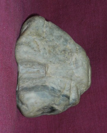 DSCN7554.JPG