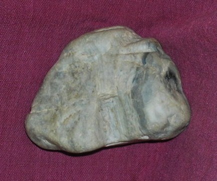 DSCN7565.JPG