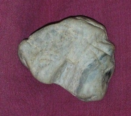 DSCN7564.JPG