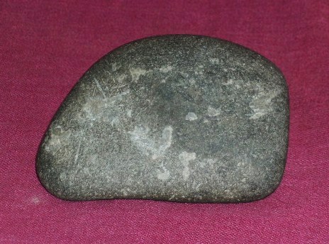 DSCN7581.JPG