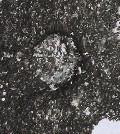 DSCN7615.JPG