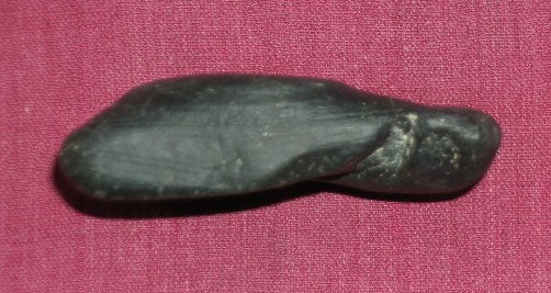 DSCN7723.JPG