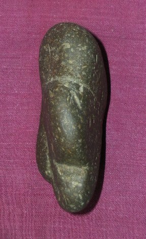 DSCN7703.JPG