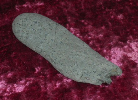 DSCN7160.JPG