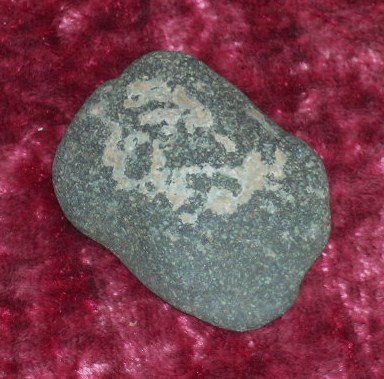 DSCN7181.JPG