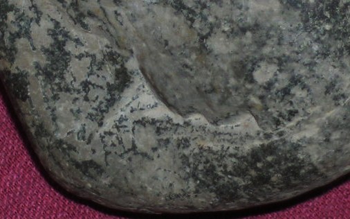 DSCN8029.JPG
