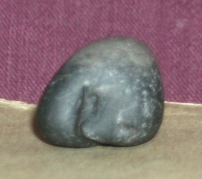 DSCN8423.JPG