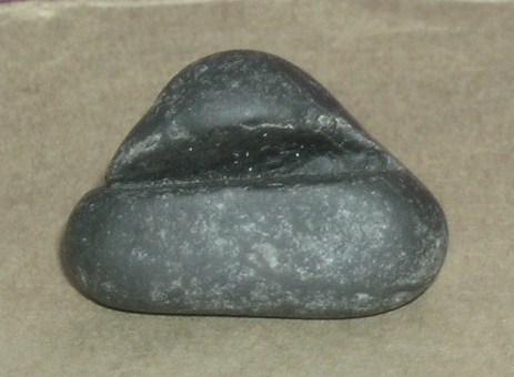 DSCN8428.JPG