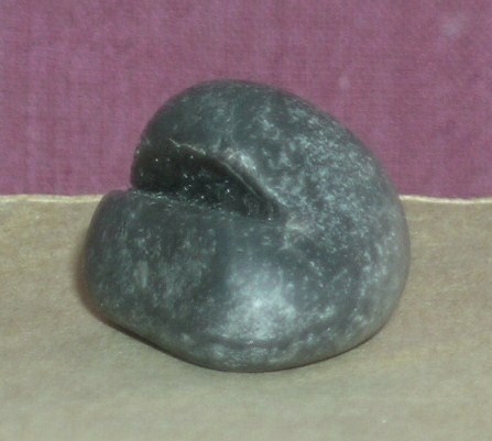 DSCN8431.JPG