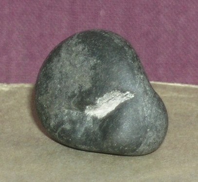 DSCN8439.JPG