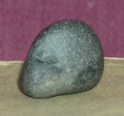DSCN8441.JPG