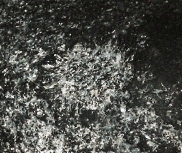 DSCN7617.JPG