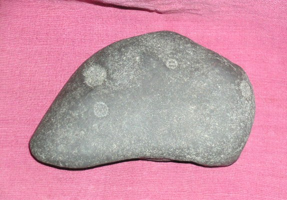 DSCN7599.JPG