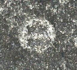 DSCN7606.JPG