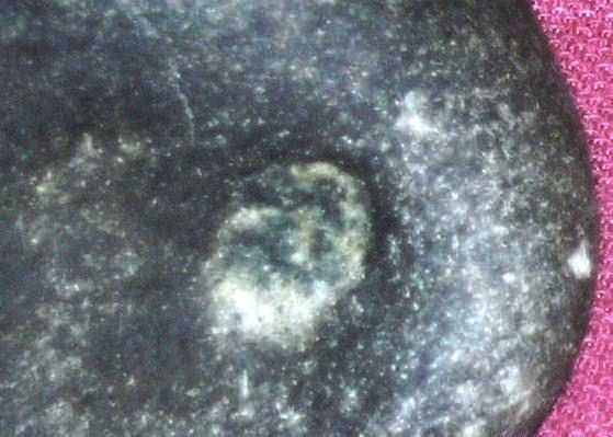 DSCN7586.JPG