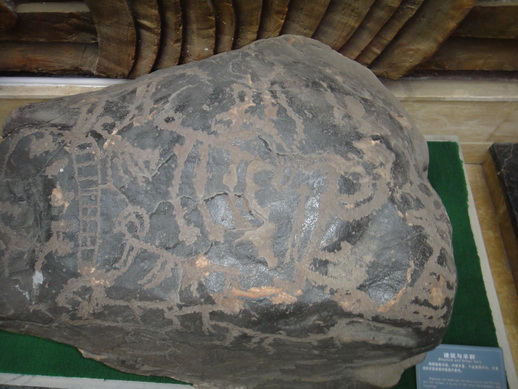 DSC06179_调整大小.JPG