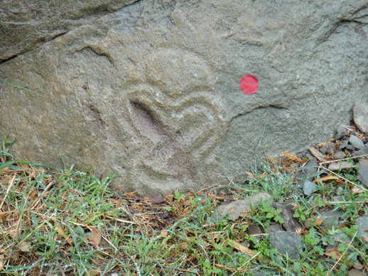 DSC06253_调整大小.JPG