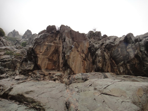 DSC06266_调整大小.JPG
