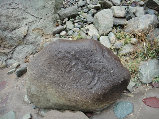 DSC06272_调整大小.JPG