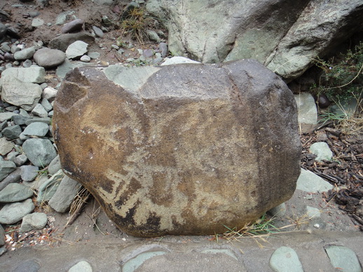 DSC06273_调整大小.JPG