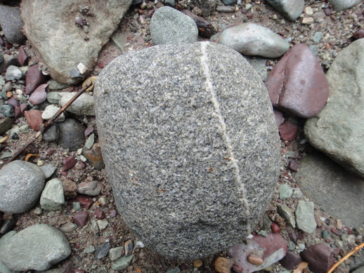 DSC06276_调整大小.JPG