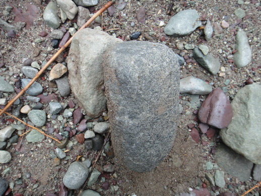 DSC06277_调整大小.JPG