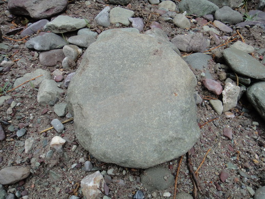 DSC06278_调整大小.JPG