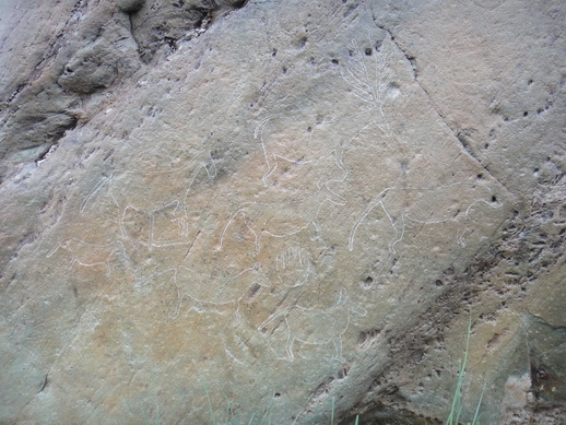 DSC06282_调整大小.JPG