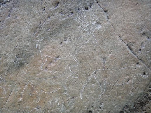DSC06284_调整大小.JPG
