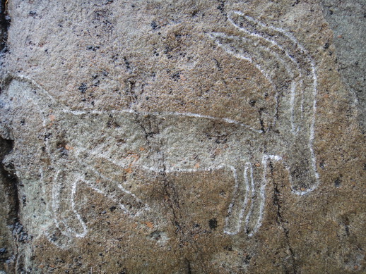DSC06288_调整大小.JPG
