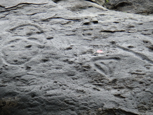 DSC06299_调整大小.JPG