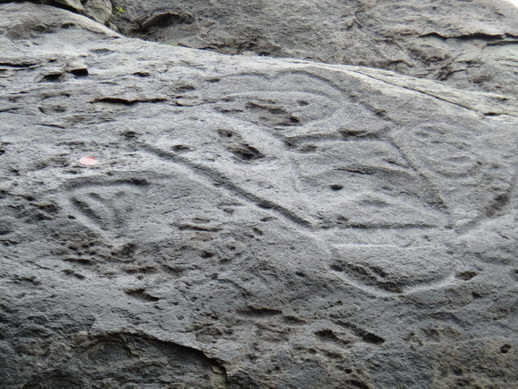 DSC06300_调整大小.JPG