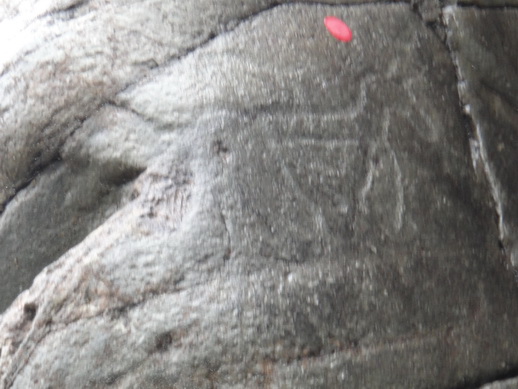 DSC06305_调整大小.JPG