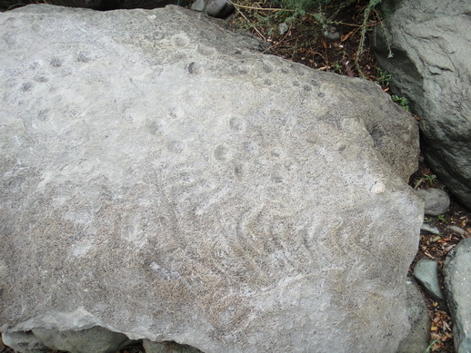 DSC06306_调整大小.JPG